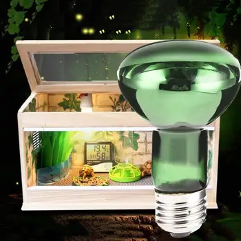 New Arrival 25/50/75/100W UV Reptile Lamp Bulb Turtle Basking UV Light Bulbs Heating Lamp For Amphibians Lizards Snake
New Arrival 25/50/75/100W UV Reptile Lamp Bulb Turtle Basking UV Light Bulbs Heating Lamp For Amphibians Lizards Snake