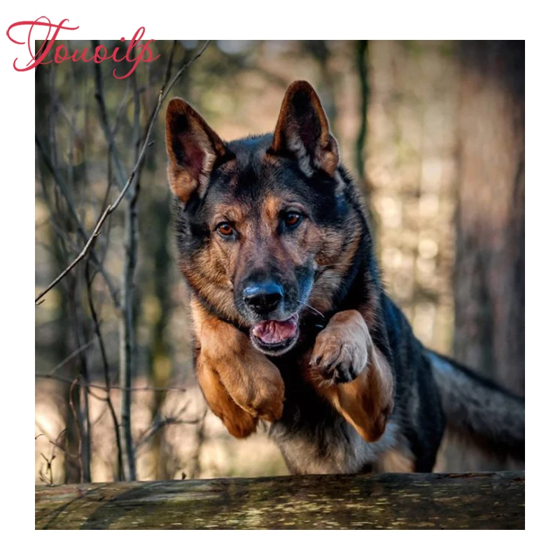 Touoilp square/round 5d German Shepherd diamond painting cross new Year diamond embroidery plastic crafts Full diamond painting
Touoilp square/round 5d German Shepherd diamond painting cross new Year diamond embroidery plastic crafts Full diamond painting