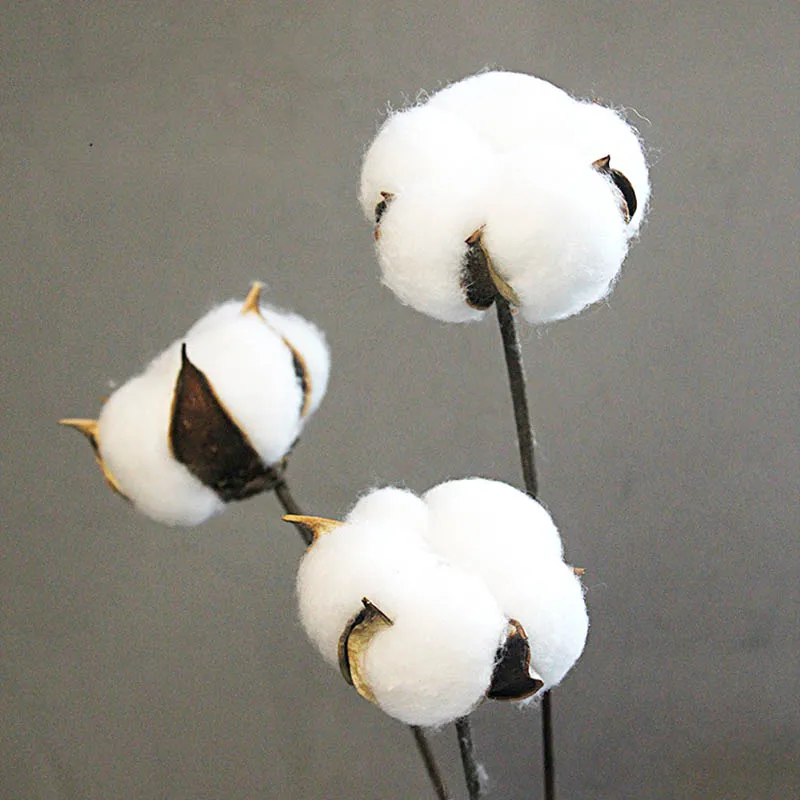Dried flower cotton branch single simulation cotton branch home decoration DIY wreath accessories artificial flowers
Dried flower cotton branch single simulation cotton branch home decoration DIY wreath accessories artificial flowers
