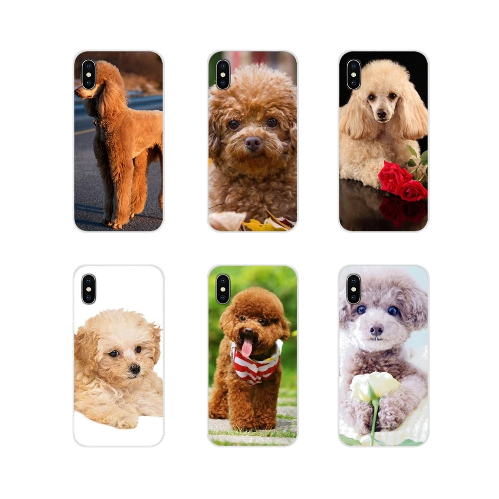 Poodle dog art For Samsung Galaxy J1 J2 J3 J4 J5 J6 J7 J8 Plus 2018 Prime 2015 2016 2017 Accessories Phone Shell Covers
Poodle dog art For Samsung Galaxy J1 J2 J3 J4 J5 J6 J7 J8 Plus 2018 Prime 2015 2016 2017 Accessories Phone Shell Covers