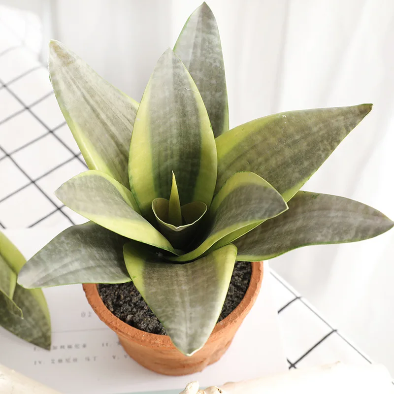 Wedding Artificial Plant Silk Garden Office Simulation Accessories Plastic Fake Home Desktop Table Decoration 25cm
Wedding Artificial Plant Silk Garden Office Simulation Accessories Plastic Fake Home Desktop Table Decoration 25cm