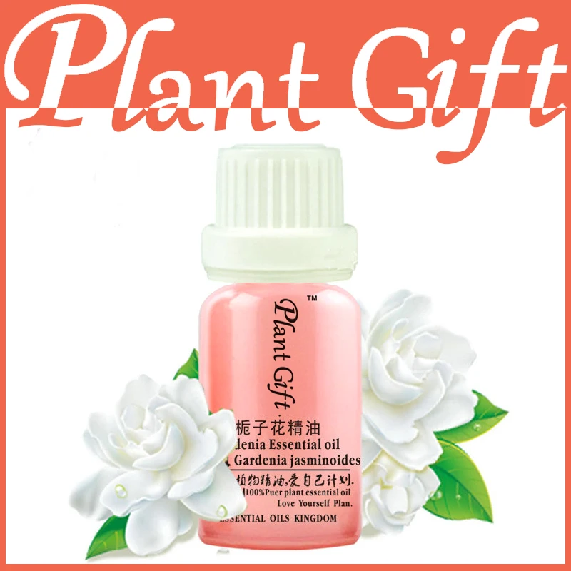 Famous Brand Pure Natural Gardenia Oil Relax Nerve Moisturizing And Nourishing The Skin Gardenia Essential Oil Treatment
Famous Brand Pure Natural Gardenia Oil Relax Nerve Moisturizing And Nourishing The Skin Gardenia Essential Oil Treatment