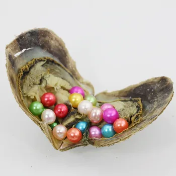 Free Shipping Akoya Pearl Oyster Round 7-8MM 28 Colors Seawater Natural Cultured In Fresh Oyster Pearl Farm Supply AR021
Free Shipping Akoya Pearl Oyster Round 7-8MM 28 Colors Seawater Natural Cultured In Fresh Oyster Pearl Farm Supply AR021