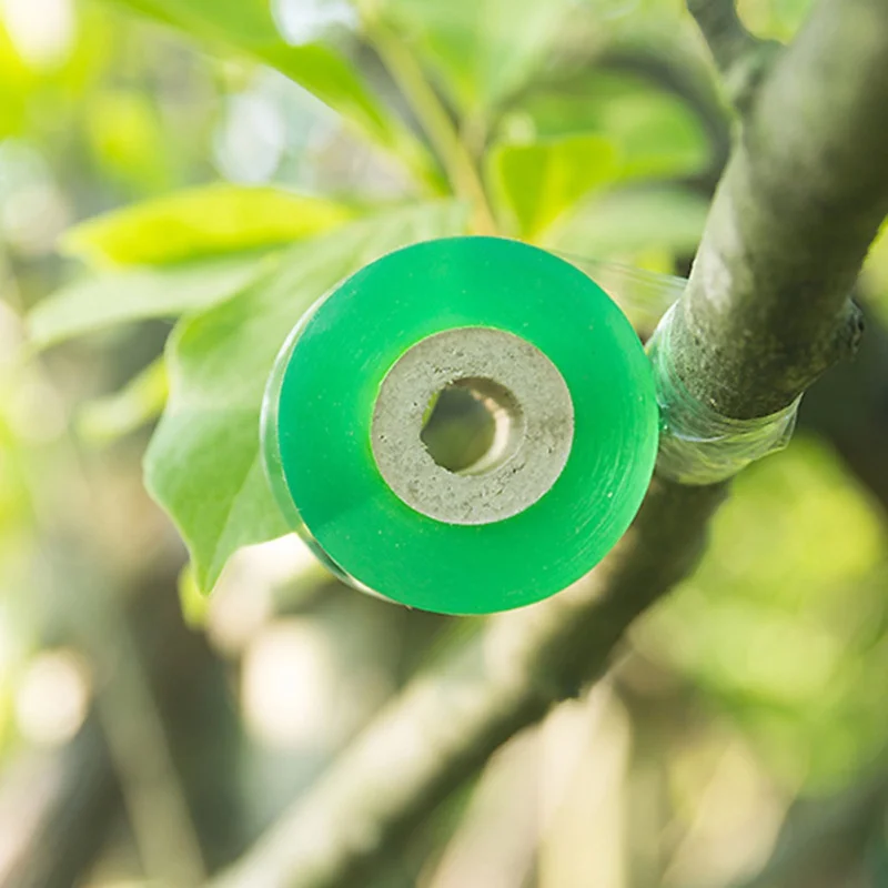 Fruit Tree Seedling Grafted Winding Film Grafting Tape Garden Tools Gardening Bind Belt
Fruit Tree Seedling Grafted Winding Film Grafting Tape Garden Tools Gardening Bind Belt
