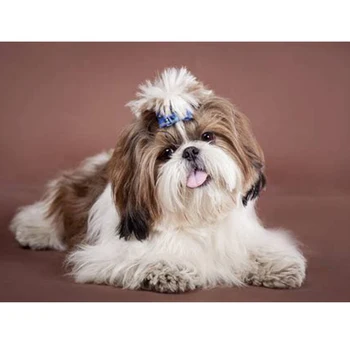 diy 5d diamond painting square rhinestones diamond embroidery cute dog cross stitch mosaic pattern full drill Y0339
diy 5d diamond painting square rhinestones diamond embroidery cute dog cross stitch mosaic pattern full drill Y0339