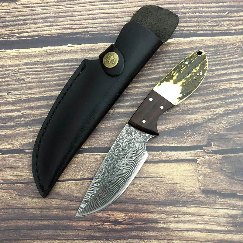 Damascus Steel Fixed Blade Outdoor Hunting Knives Hiking Camping Fishing Survival Hand Tool Tactical Straight Knife Gift
Damascus Steel Fixed Blade Outdoor Hunting Knives Hiking Camping Fishing Survival Hand Tool Tactical Straight Knife Gift