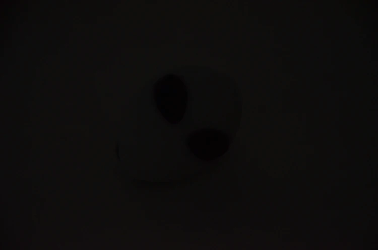 (3)