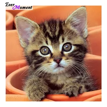3D DIY Diamond Painting Stickers Decorative Painting Rhinestone Mosaic 5D Cross Stitch Pattern Diamond Embroidery Cat ASF427
3D DIY Diamond Painting Stickers Decorative Painting Rhinestone Mosaic 5D Cross Stitch Pattern Diamond Embroidery Cat ASF427