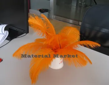 Free Shipping 100 pcs 8-10inch(20-25cm) Orange Good Quality Ostrich Feathers for Wedding centerpiece feather centerpiece
Free Shipping 100 pcs 8-10inch(20-25cm) Orange Good Quality Ostrich Feathers for Wedding centerpiece feather centerpiece