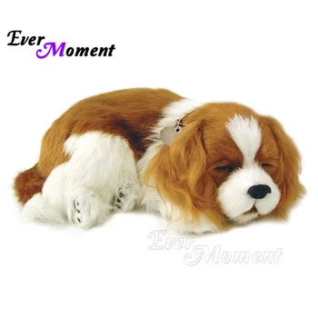 Ever Moment Diamond Painting Lovely Dog Pet Full Square Drill Cross Stitch 5D DIY Diamond Embroidery Picture Mosaic Decor S2F925
Ever Moment Diamond Painting Lovely Dog Pet Full Square Drill Cross Stitch 5D DIY Diamond Embroidery Picture Mosaic Decor S2F925