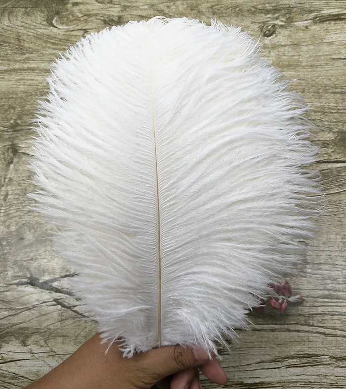 10 pcs natural ostrich feathers 20-25 cm/ 8-10 Inches feathers Wedding decoration Headgear accessories
10 pcs natural ostrich feathers 20-25 cm/ 8-10 Inches feathers Wedding decoration Headgear accessories