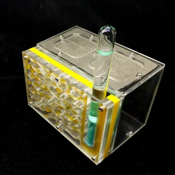 DIY Ant Nest With Moisture Water Tower And Feeding Area Ant Farm Acryl Insect Ant Villa Pet Mania For House Ant 150x100x100cm
DIY Ant Nest With Moisture Water Tower And Feeding Area Ant Farm Acryl Insect Ant Villa Pet Mania For House Ant 150x100x100cm