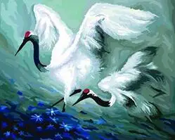MaHuaf-W812 Dance of white cranes over sea animal picture painting by numbers diy digital canvas oil painting home decor
MaHuaf-W812 Dance of white cranes over sea animal picture painting by numbers diy digital canvas oil painting home decor