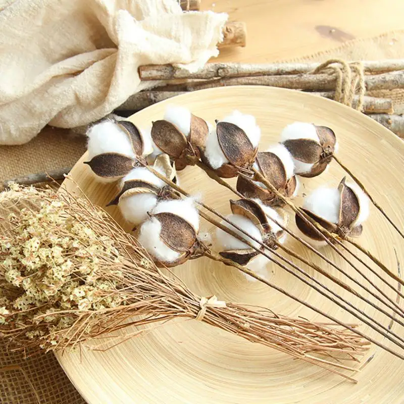 Nordic Dried Cotton Flowers Natural Cotton Stems Flower for Home Bar Shop Decoration Wedding Dried Flowers Decoration 23 Inches
Nordic Dried Cotton Flowers Natural Cotton Stems Flower for Home Bar Shop Decoration Wedding Dried Flowers Decoration 23 Inches