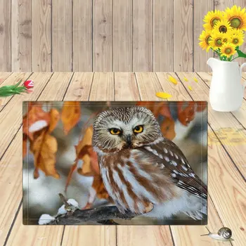 Gray owl Bath Rugs, Non-Slip Rectangle Floor Entryways Outdoor Indoor Front Door Mat,16X24 Inches Bath Mat
Gray owl Bath Rugs, Non-Slip Rectangle Floor Entryways Outdoor Indoor Front Door Mat,16X24 Inches Bath Mat