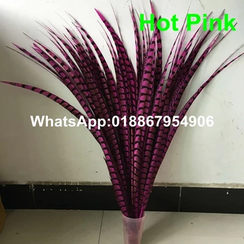 Free shipping 50pcs/lot 30-35inch(80-90cm) Hot Pink Lady Amherst Pheasant Tail Feathers AA quality for costumes
Free shipping 50pcs/lot 30-35inch(80-90cm) Hot Pink Lady Amherst Pheasant Tail Feathers AA quality for costumes