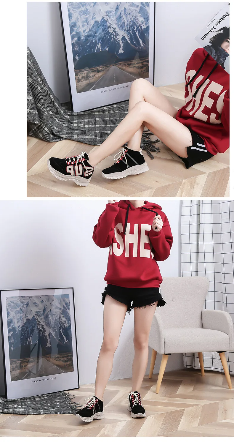 9543247806_1244332661