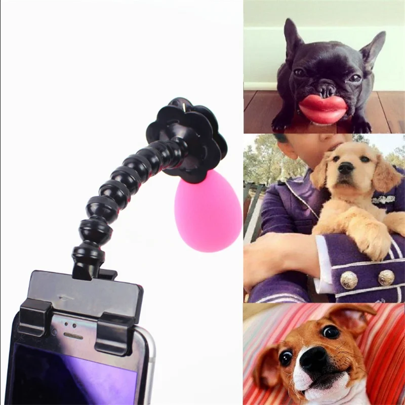 Pet Selfie Stick for Pets Portable Pet Selfie Stick Phone Attachment Dog Cat Take Photos Training Toy Drop Free Shipping
Pet Selfie Stick for Pets Portable Pet Selfie Stick Phone Attachment Dog Cat Take Photos Training Toy Drop Free Shipping