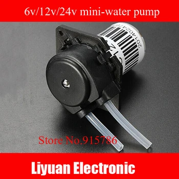 12V mini water pump / mute peristaltic pump pumps titration 6V / 24V DC self-priming / 100 rpm small high suction pumps
12V mini water pump / mute peristaltic pump pumps titration 6V / 24V DC self-priming / 100 rpm small high suction pumps