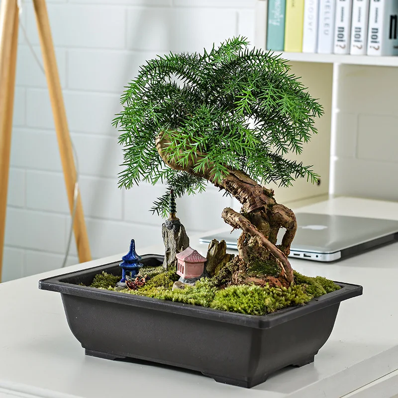 Rectangular Simulated Purple Sand Large Plastic Succulent Plant Antique Bonsai Flowerpot Balcony Home Garden Supplies Gift Hot
Rectangular Simulated Purple Sand Large Plastic Succulent Plant Antique Bonsai Flowerpot Balcony Home Garden Supplies Gift Hot