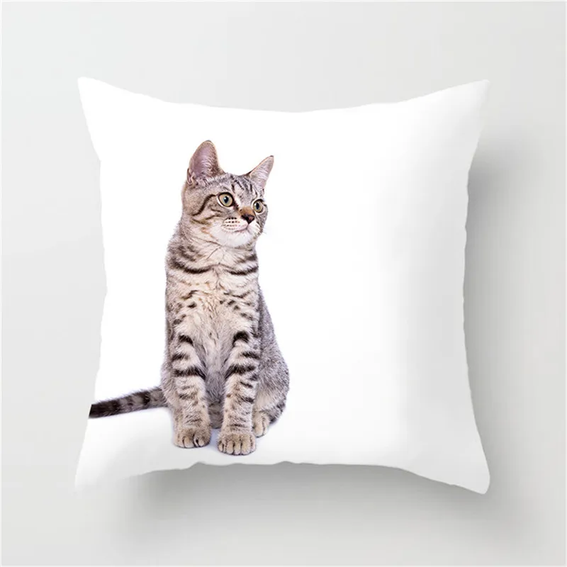 Fuwatacchi New Animal Cat Cushion Cover Lovely Cat Pillow Cover Square Decorative Pillows Case for Decor Home Sofa Chair Car
Fuwatacchi New Animal Cat Cushion Cover Lovely Cat Pillow Cover Square Decorative Pillows Case for Decor Home Sofa Chair Car