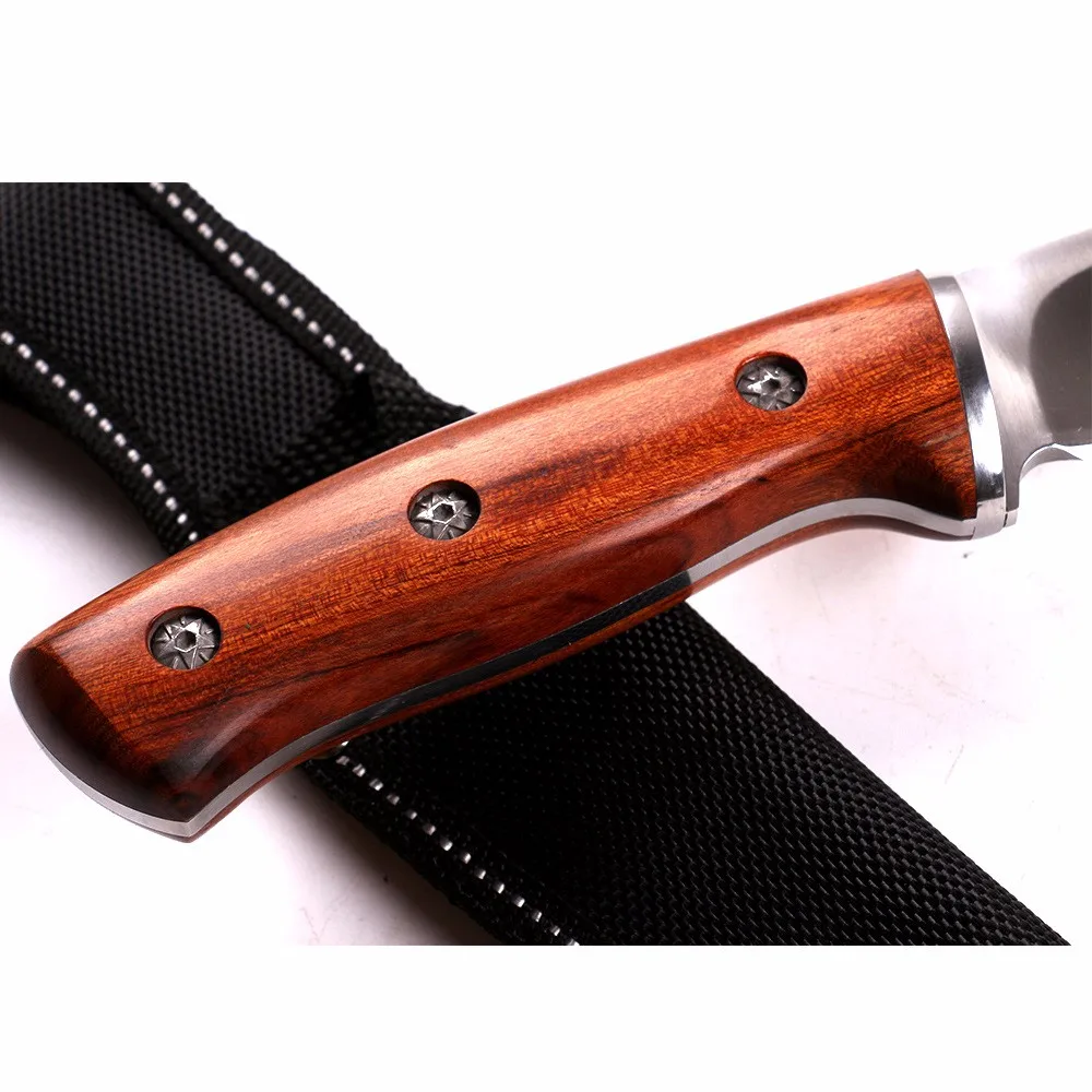 HTB1aTd0OVXXXXciXXXXq6xXFXXXJ