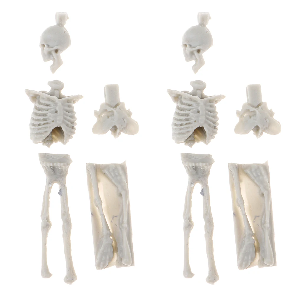 4Pcs 1:35 Scale Unpainted Unassemble Resin Skull Skeleton Model for Sand Table Armor Landcsape Diorama Building Toys