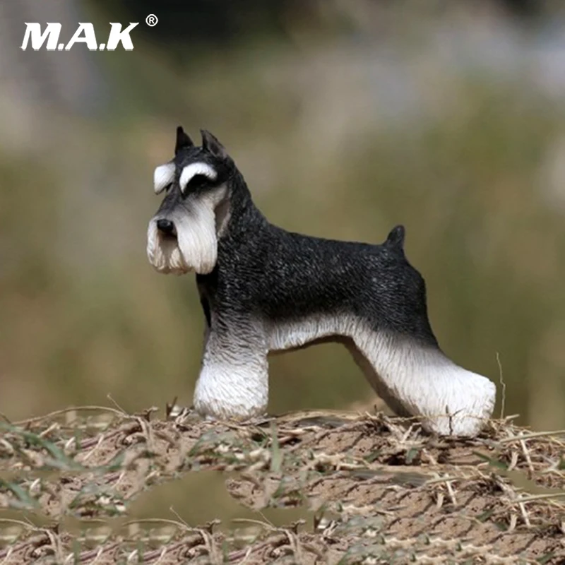 For collection 3 colors Models 1/6 Miniature Schnauzer Dog Simulation Animal Model Figure MRZ019
For collection 3 colors Models 1/6 Miniature Schnauzer Dog Simulation Animal Model Figure MRZ019