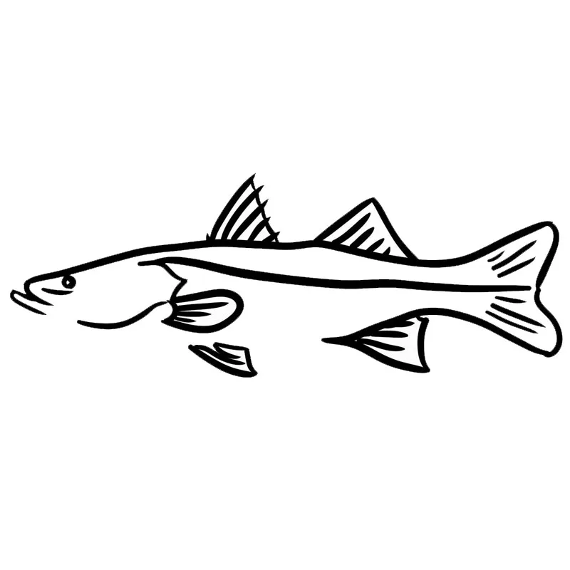 15.2*5.7CM Funny Fish Snook Animal Window Decals Car Styling Personality Decorative Stickers Black/Silver C6-1297
15.2*5.7CM Funny Fish Snook Animal Window Decals Car Styling Personality Decorative Stickers Black/Silver C6-1297