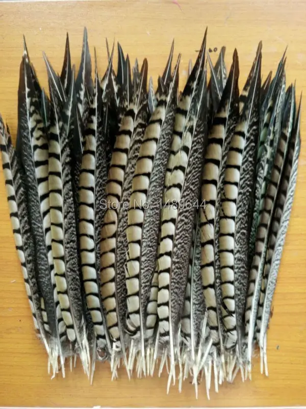 New arrival! 10 PCS 30-35 cm / 12-14 inches natural pheasant feathers, Amherst chicken tail feathers
New arrival! 10 PCS 30-35 cm / 12-14 inches natural pheasant feathers, Amherst chicken tail feathers