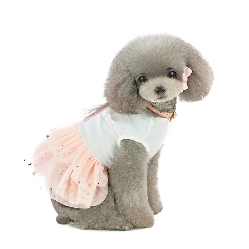 Breathable Summer Dresses for Dogs Cat Princess Lace Pet Dogs Clothes Tulle Skirt Vestidos Rabbit Print Puppy Wedding Petstyle
Breathable Summer Dresses for Dogs Cat Princess Lace Pet Dogs Clothes Tulle Skirt Vestidos Rabbit Print Puppy Wedding Petstyle