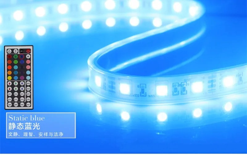 IP67 Waterproof 5050 LED Strip,12V 60LED/M RGB 21