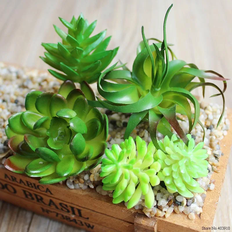 Artificial Succulents Plants PVC Mini Grass Artificial Plants Landscape Fake Flowers Wedding Decoration Bonsai planta artificial
Artificial Succulents Plants PVC Mini Grass Artificial Plants Landscape Fake Flowers Wedding Decoration Bonsai planta artificial