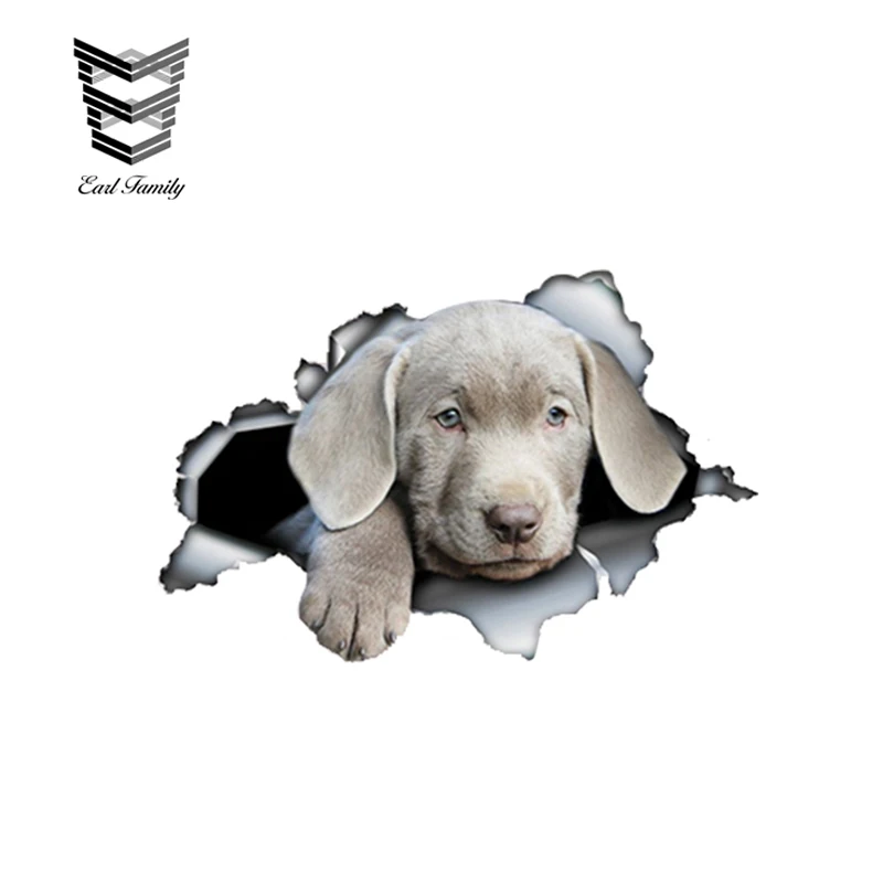 EARLFAMILY 13cm x 8.5cm Silver Lab Puppy Car Sticker Torn Metal Decal Reflective Silver Labrador Stickers Pet Dog Vinyl Decals
EARLFAMILY 13cm x 8.5cm Silver Lab Puppy Car Sticker Torn Metal Decal Reflective Silver Labrador Stickers Pet Dog Vinyl Decals