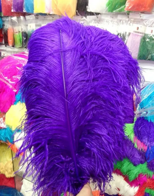Wholesale 50 PCS, 22-24 inches / 55~60cm natural purple ostrich feathers, feather wedding center focus
Wholesale 50 PCS, 22-24 inches / 55~60cm natural purple ostrich feathers, feather wedding center focus