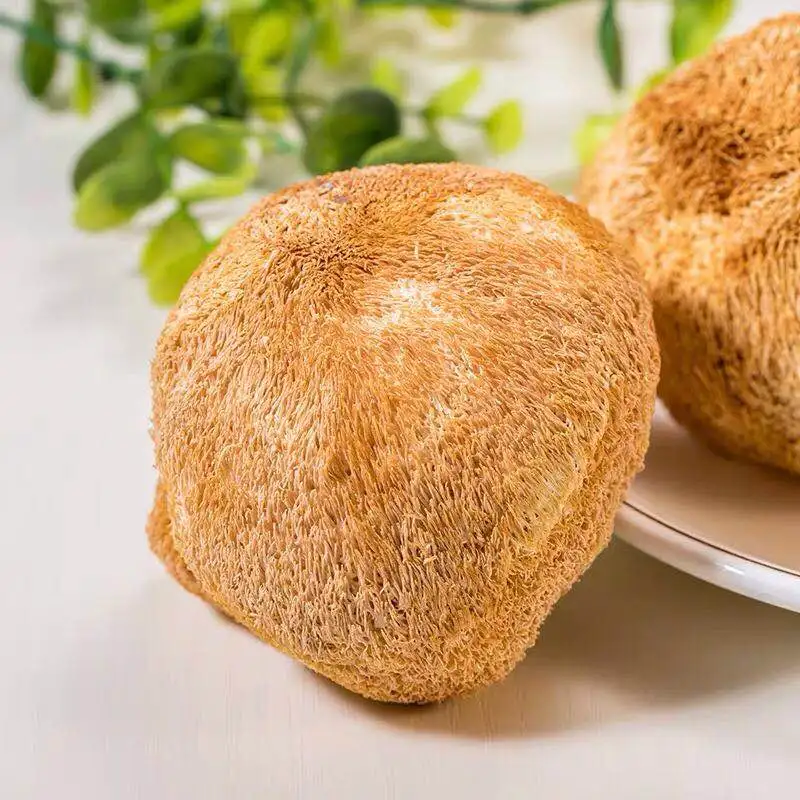 250g-500g no pesticide hericium erinaceus dried food The taste is excellent. supplement nutrition good quality free shipping
250g-500g no pesticide hericium erinaceus dried food The taste is excellent. supplement nutrition good quality free shipping