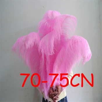 20pcs/lot 70-75cm Dyed Ostrich Plumes Feather Pink Ostrich feathers 28-30inch ostrich wing feather wedding feather sk320
20pcs/lot 70-75cm Dyed Ostrich Plumes Feather Pink Ostrich feathers 28-30inch ostrich wing feather wedding feather sk320