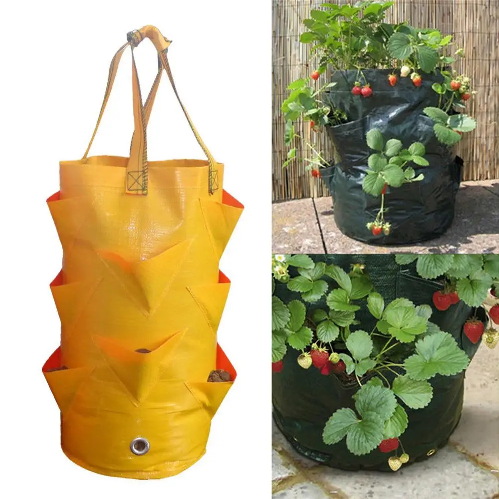 Pokich Strawberry Plant Bag For Growing Potatoes Garden Vertical Hanging Open Style Vegetable Planting Breathable Grow Bags
Pokich Strawberry Plant Bag For Growing Potatoes Garden Vertical Hanging Open Style Vegetable Planting Breathable Grow Bags