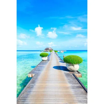 Laeacco Seaside Blue Sky White Clouds Wooden Bridge Natural Scene Photographic Background Photography Backdrops For Photo Studio
Laeacco Seaside Blue Sky White Clouds Wooden Bridge Natural Scene Photographic Background Photography Backdrops For Photo Studio