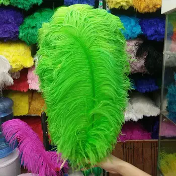Free shipping new 10 PCS Green ostrich feathers 50-55 cm/20-22 inches plume wedding performing art decoration feather
Free shipping new 10 PCS Green ostrich feathers 50-55 cm/20-22 inches plume wedding performing art decoration feather