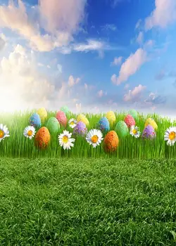 thin vinyl Photography Backdrop Easter Egg Custom Photo Prop backgrounds 1.5Mx2.5M F-017
thin vinyl Photography Backdrop Easter Egg Custom Photo Prop backgrounds 1.5Mx2.5M F-017
