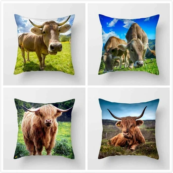 Fuwatacchi Spanish Bullfighting Throw Pillows Cover Cow Animal Cushion Cover for Home Sofa Bedroom Decorative Pillowcases 2019
Fuwatacchi Spanish Bullfighting Throw Pillows Cover Cow Animal Cushion Cover for Home Sofa Bedroom Decorative Pillowcases 2019
