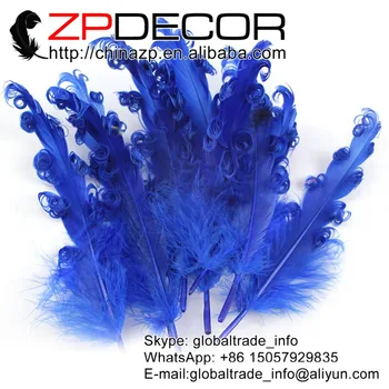 ZPDECOR 100 pcs/lot Hand Select Royal Blue Dyed Premium Curled Goose Feathers For Child Headbands
ZPDECOR 100 pcs/lot Hand Select Royal Blue Dyed Premium Curled Goose Feathers For Child Headbands