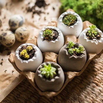 6Pcs/Set Mini Small Cracked Eggshell Shape Flowerpot Concrete Succulent Plant Pot Holder Fairy Garden Cactus Flower Pots Planter
6Pcs/Set Mini Small Cracked Eggshell Shape Flowerpot Concrete Succulent Plant Pot Holder Fairy Garden Cactus Flower Pots Planter