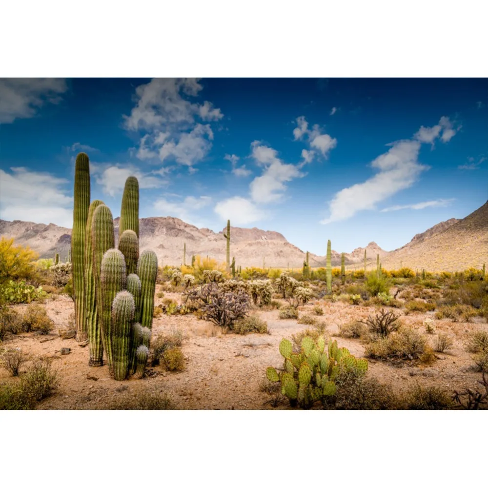 Laeacco Cactus Desert Shrub Hillside Blue Sky Cloudy Natural View Photo Backgrounds Photography Backdrops For Photo Studio
Laeacco Cactus Desert Shrub Hillside Blue Sky Cloudy Natural View Photo Backgrounds Photography Backdrops For Photo Studio