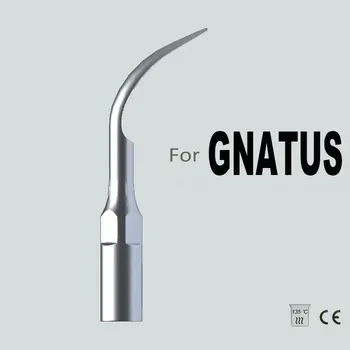 Factory direct sale GD1 GNATUS dental tip for supragingival scaling oral hygiene dental equipment
Factory direct sale GD1 GNATUS dental tip for supragingival scaling oral hygiene dental equipment
