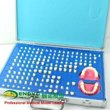 Stomatology dental teeth preparation model of tooth preparation cavity teeth denture model teaching
Stomatology dental teeth preparation model of tooth preparation cavity teeth denture model teaching