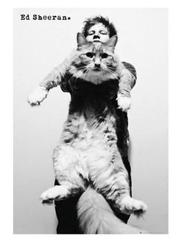 Ed Sheeran Cat Musician Singer Custom Wall Paper HD Retro Pictures and Prints poster Wall Sticker office home Decor U1-661
Ed Sheeran Cat Musician Singer Custom Wall Paper HD Retro Pictures and Prints poster Wall Sticker office home Decor U1-661