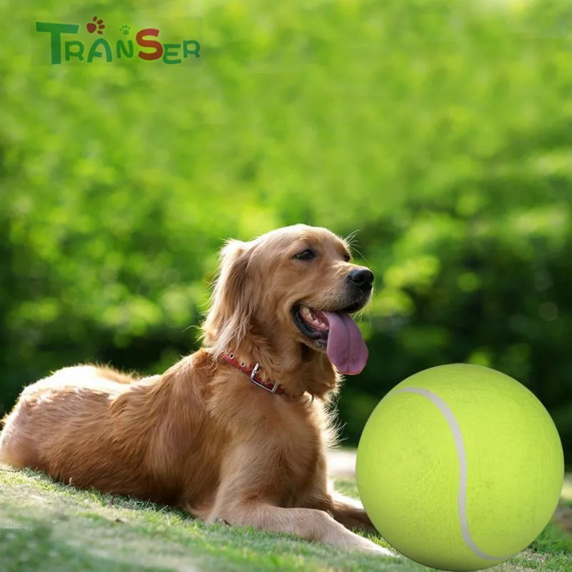 Transer Hot Fashion 24CM Giant Tennis Ball For Pet ChewToy Big Inflatable Supplies Outdoor Toys Free shipping 18Feb9
Transer Hot Fashion 24CM Giant Tennis Ball For Pet ChewToy Big Inflatable Supplies Outdoor Toys Free shipping 18Feb9