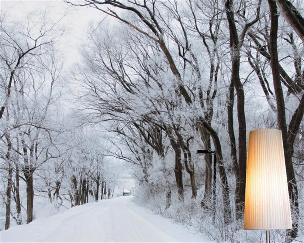 Beibehang Custom wallpaper 3d space extension tree forest snow stereo TV background wall living room bedroom mural 3d wallpaepr
Beibehang Custom wallpaper 3d space extension tree forest snow stereo TV background wall living room bedroom mural 3d wallpaepr